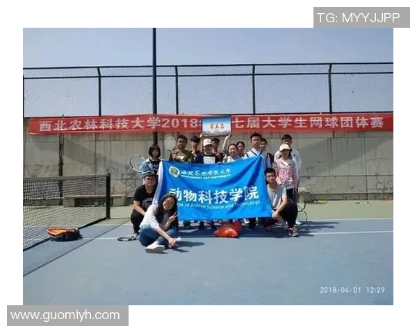 重庆网球队在冠军赛中的比赛经验与表现分析